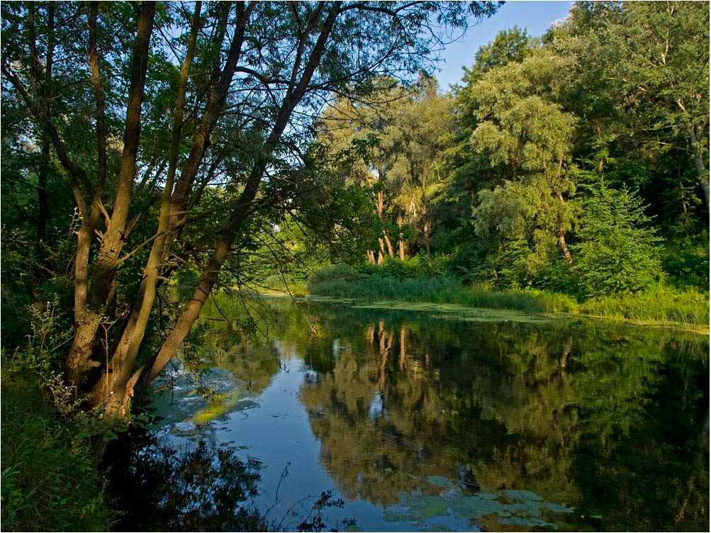 photo "***" tags: landscape, summer, water