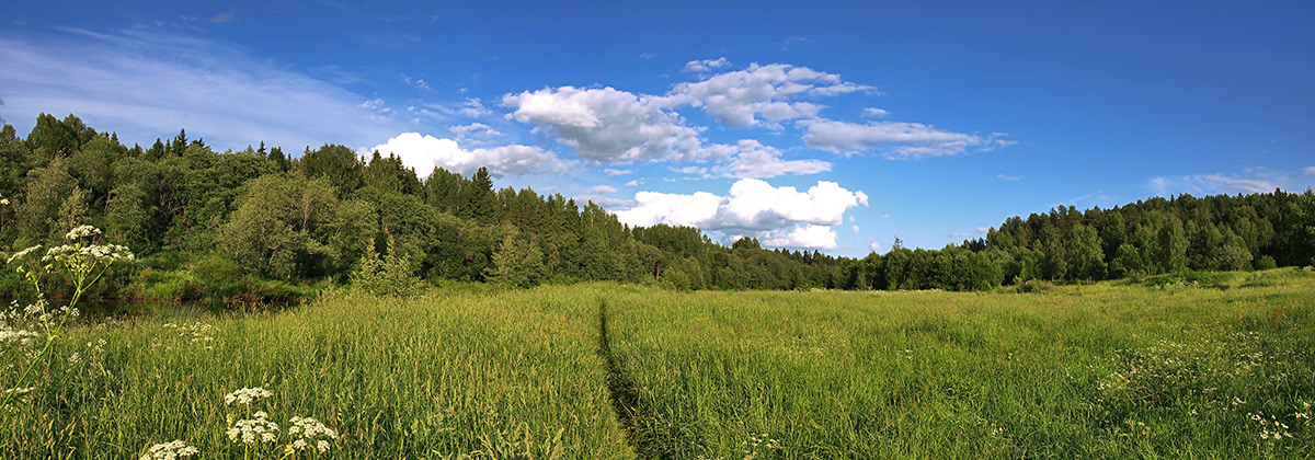 photo "***" tags: landscape, summer