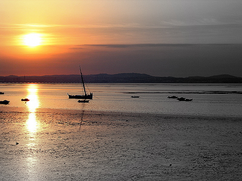 photo "Tejo." tags: landscape, summer, water