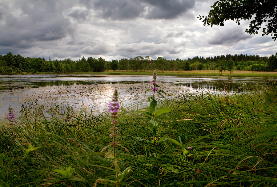 photo "***" tags: landscape, 