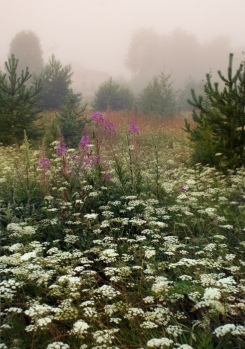 photo "***" tags: landscape, summer