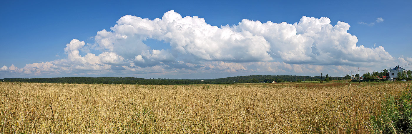 photo "***" tags: landscape, summer