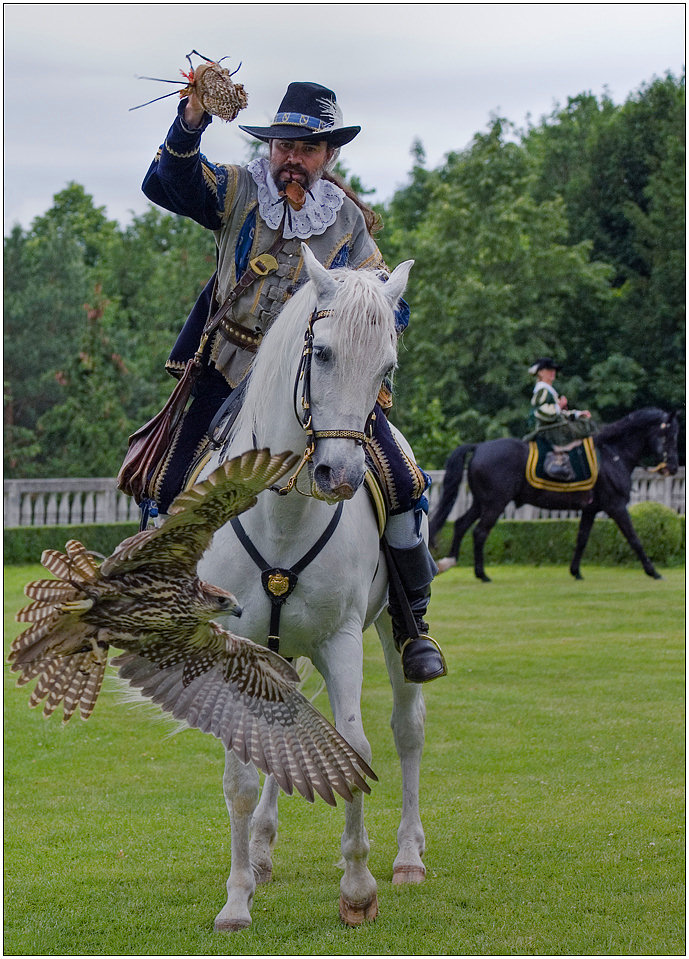 фото "Demonstration flight" метки: жанр, природа, дикие животные