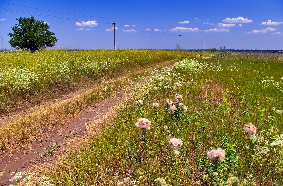 фото "В степь" метки: пейзаж, лето