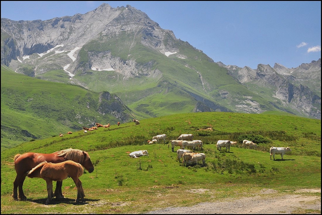 photo "***" tags: landscape, mountains