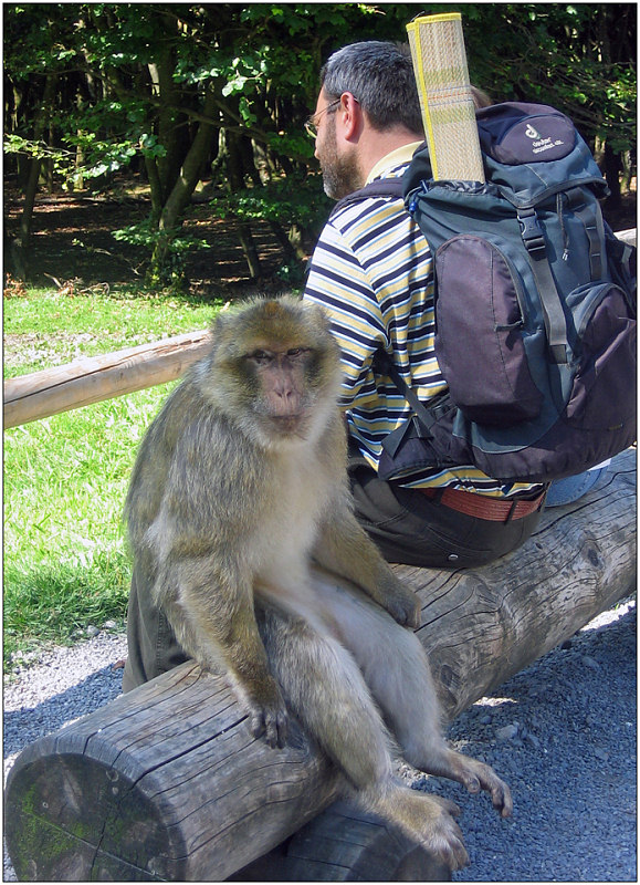 photo "Though to sit humanly" tags: humor, nature, wild animals