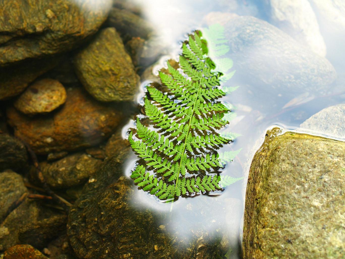 photo "she passes" tags: landscape, water