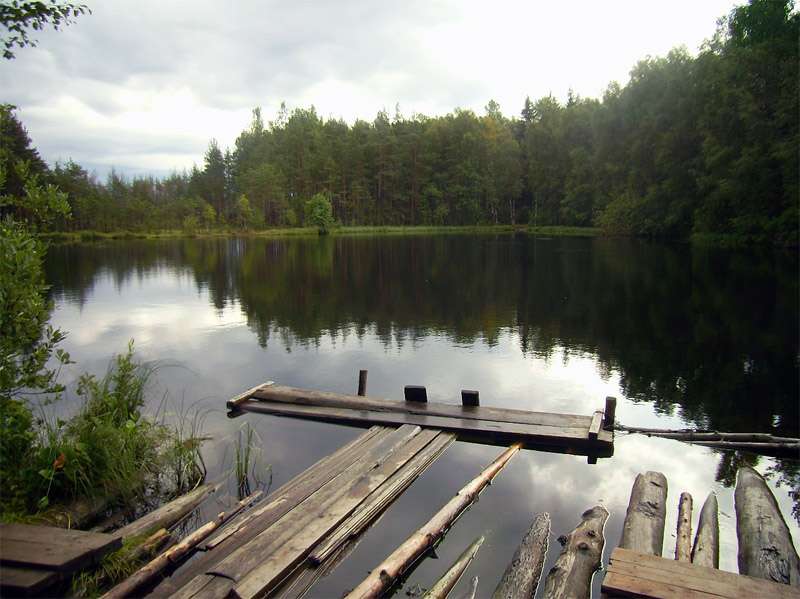 photo "Forest lake" tags: landscape, forest, water