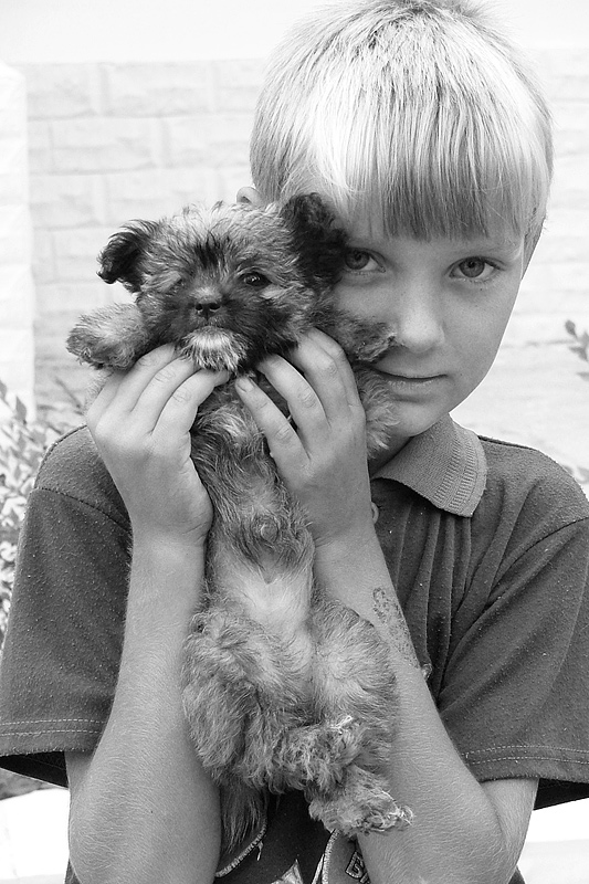 photo "Puppy and his Boy" tags: , 