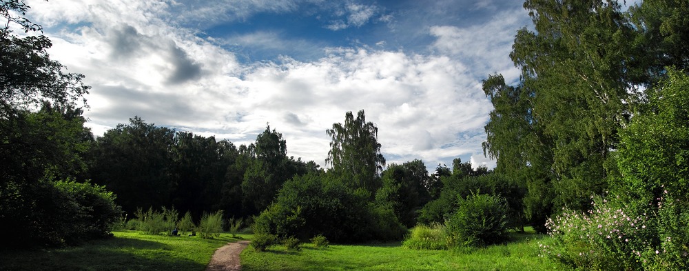 photo "***" tags: landscape, forest, summer