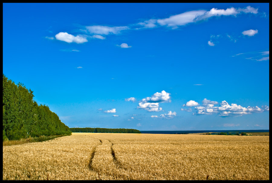 photo "***" tags: landscape, summer