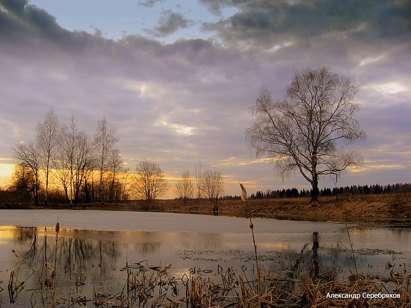 фото "За околицей..." метки: пейзаж, 