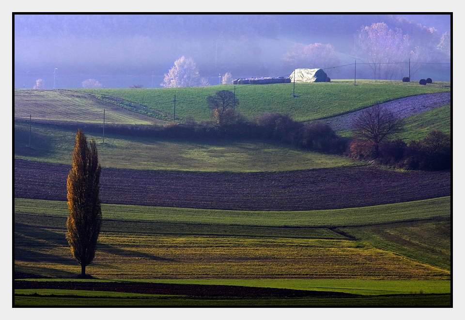 фото "Fields" метки: пейзаж, 