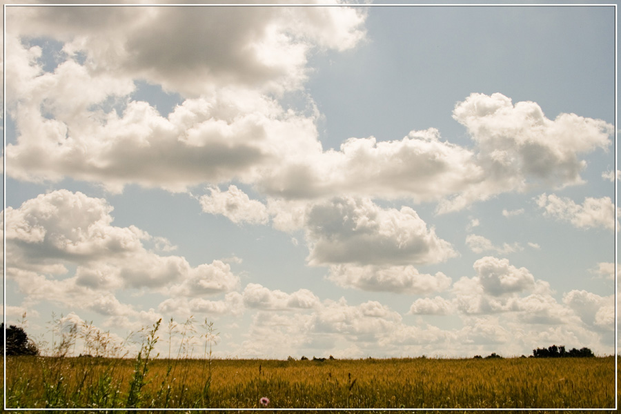 photo "***" tags: landscape, summer