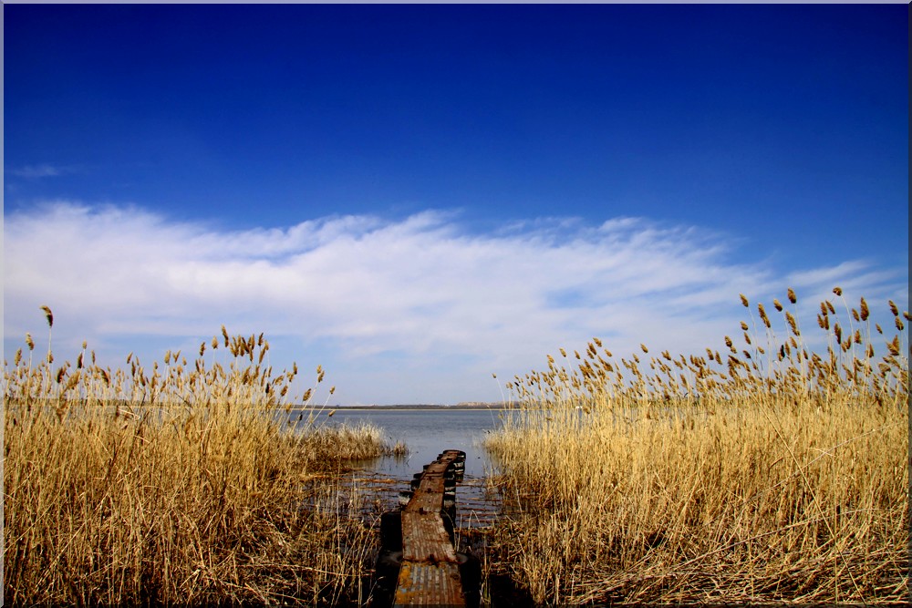 photo "***" tags: landscape, spring, water