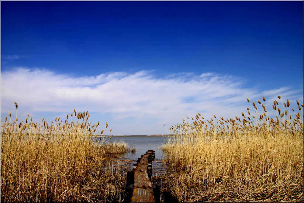 photo "***" tags: landscape, spring, water