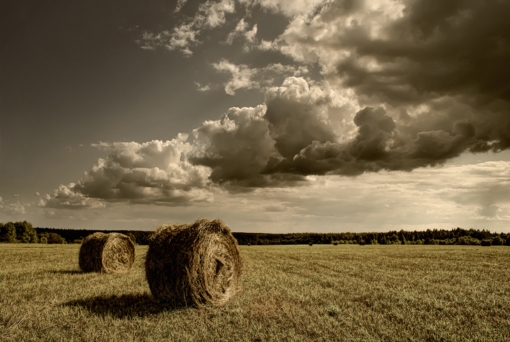 photo "***" tags: landscape, summer