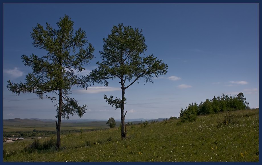 photo "Girlfriends" tags: landscape, forest