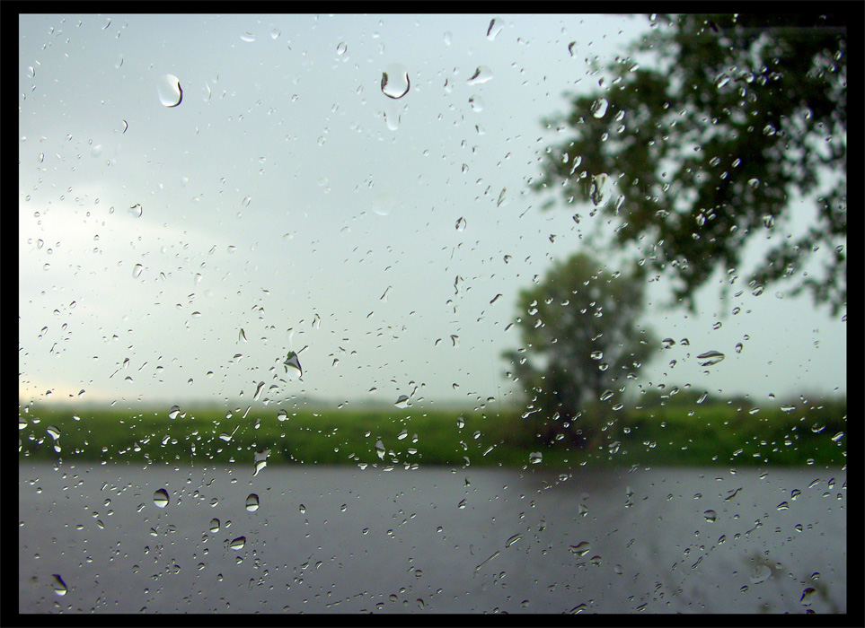 photo "Wet picture" tags: landscape, summer