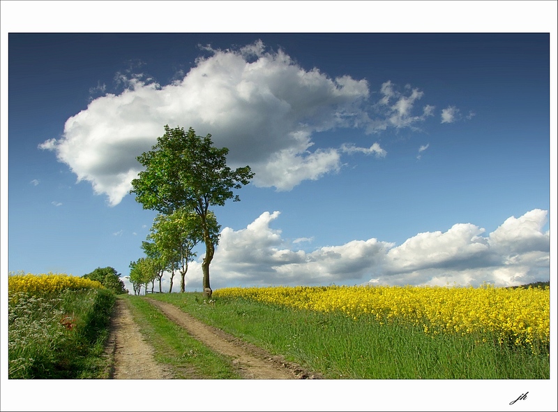 photo "with the head in the clouds" tags: landscape, summer