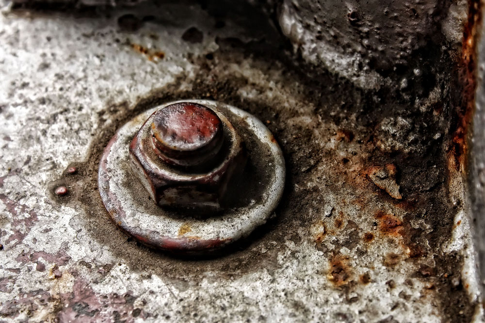 photo "Another One Bites The Rust" tags: macro and close-up, fragment, 