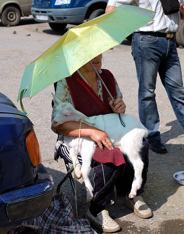 photo "Grandmother and sawhorse" tags: nature, reporting, pets/farm animals