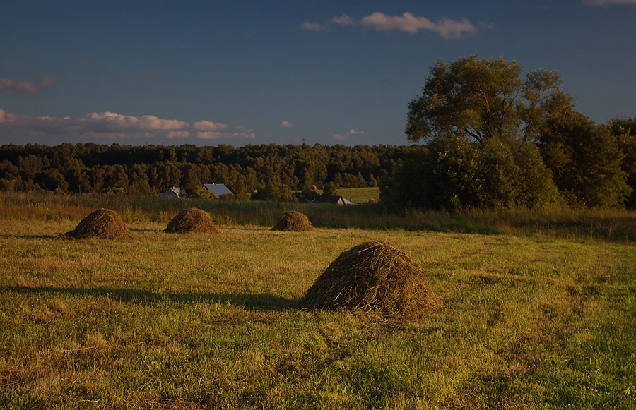 photo "***" tags: landscape, summer