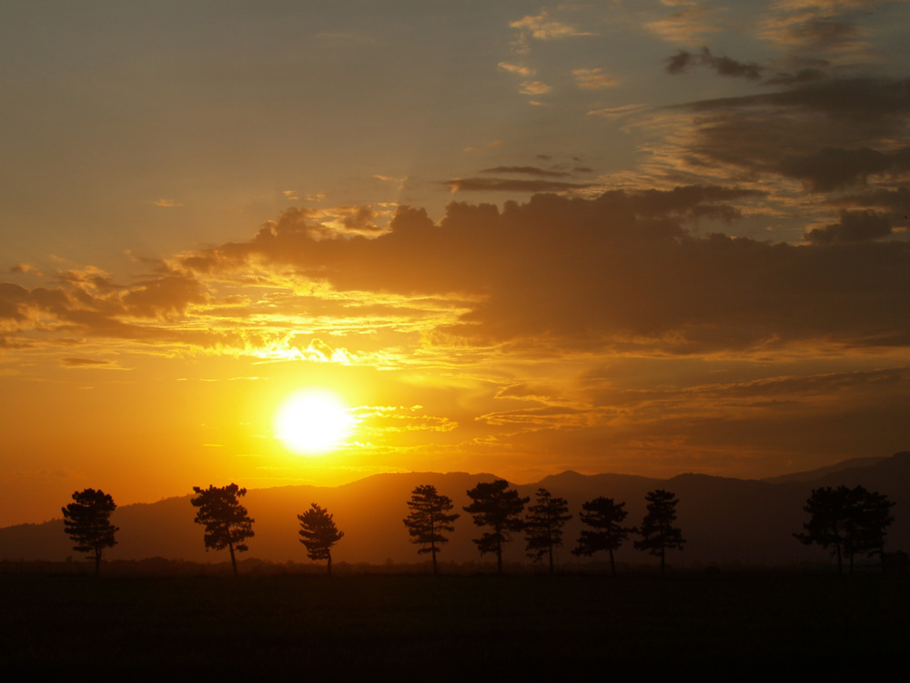 фото "Treeline-Sunset" метки: пейзаж, путешествия, Северная Америка, закат