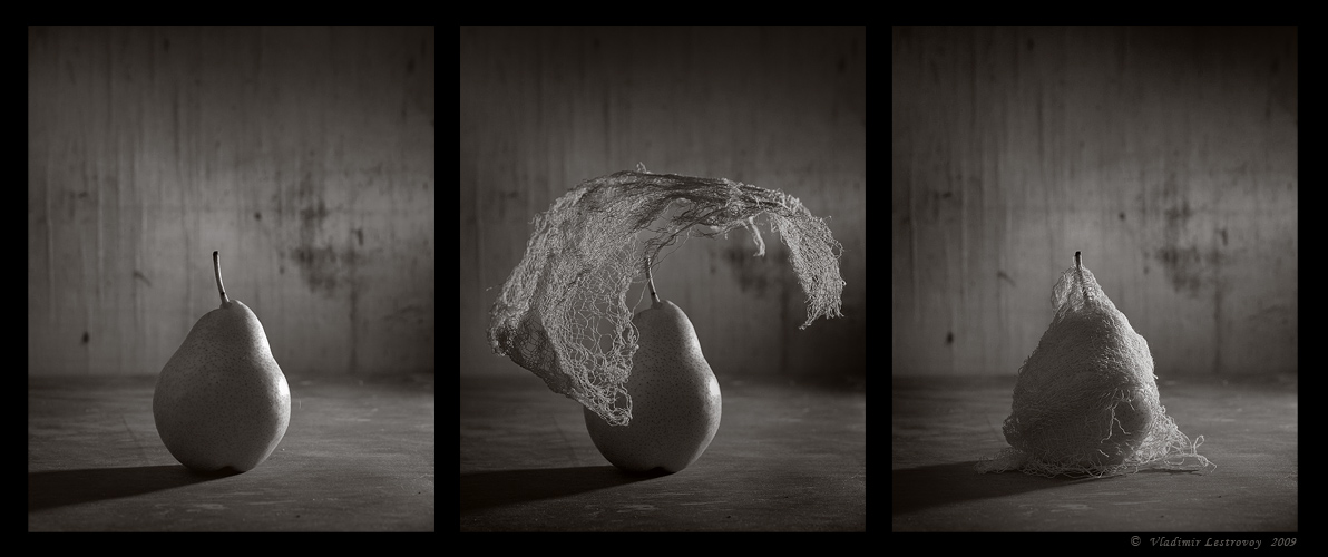 photo "Cocoon" tags: still life, 