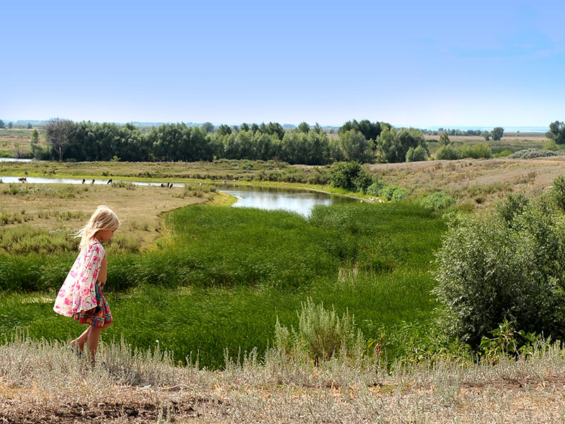 photo "On the Steep Slope" tags: , 