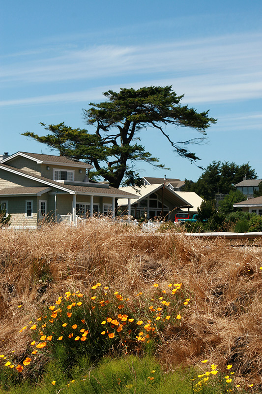 photo "San Juan Island" tags: landscape, 