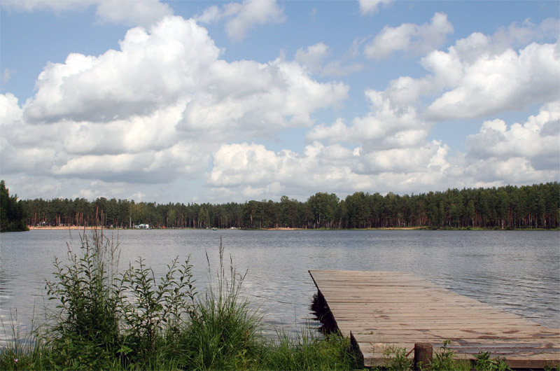 photo "Waiting for a swimmers" tags: landscape, summer, water