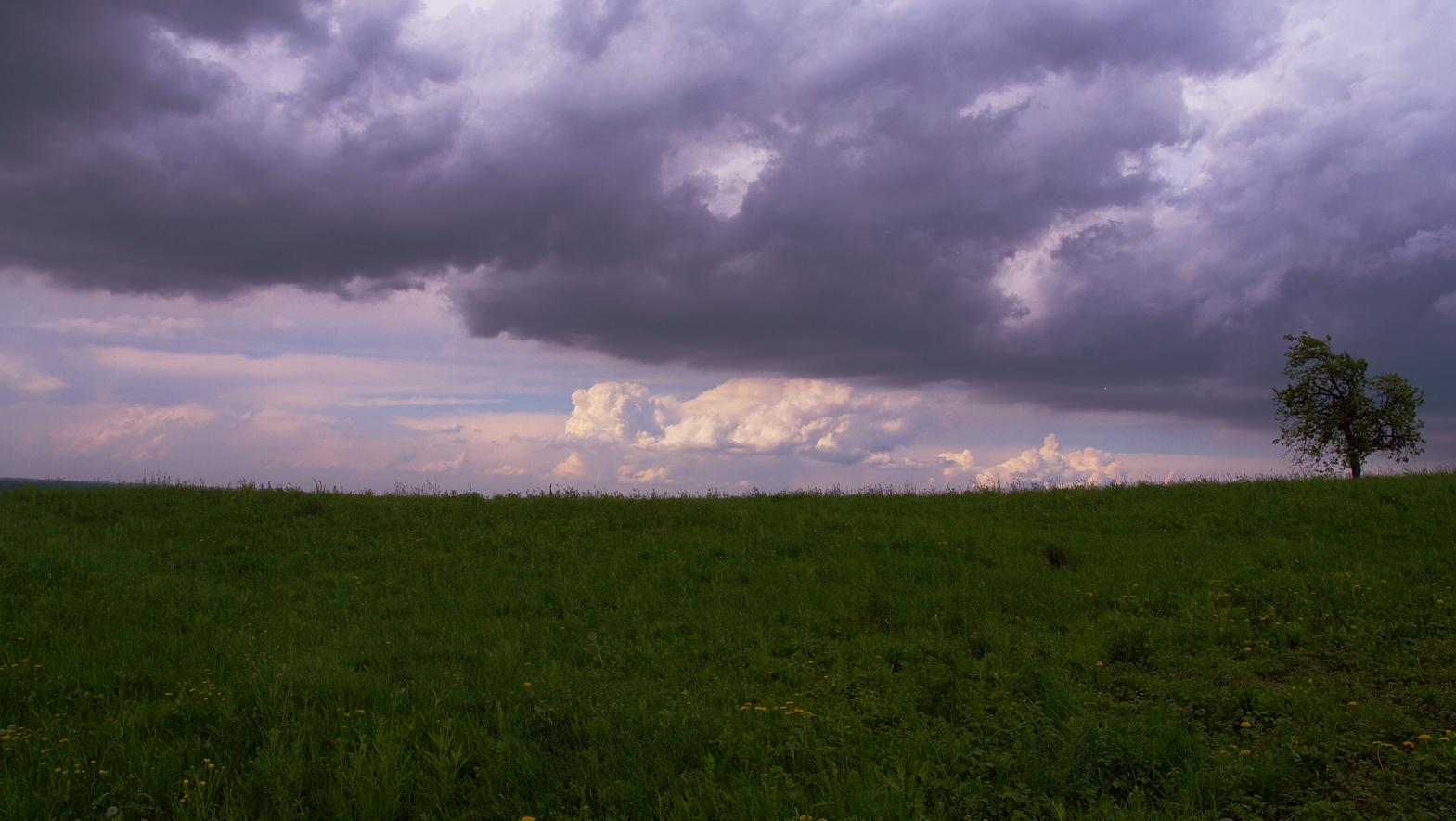 photo "tree on the edge" tags: landscape, spring