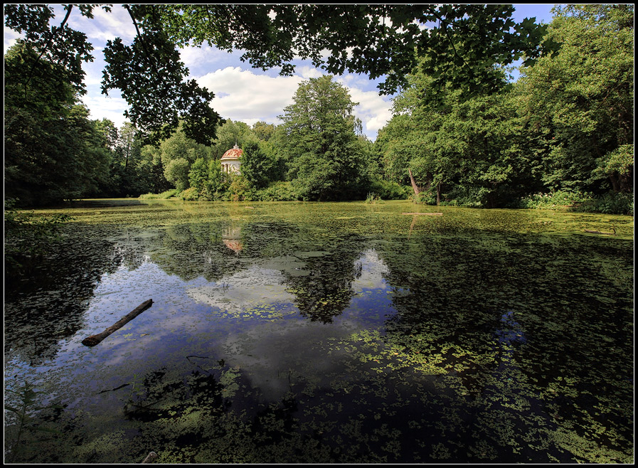 photo "Old pond" tags: landscape, summer, water