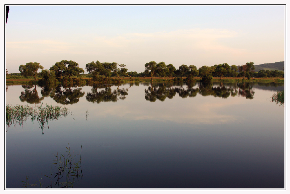 photo "***" tags: landscape, summer, water