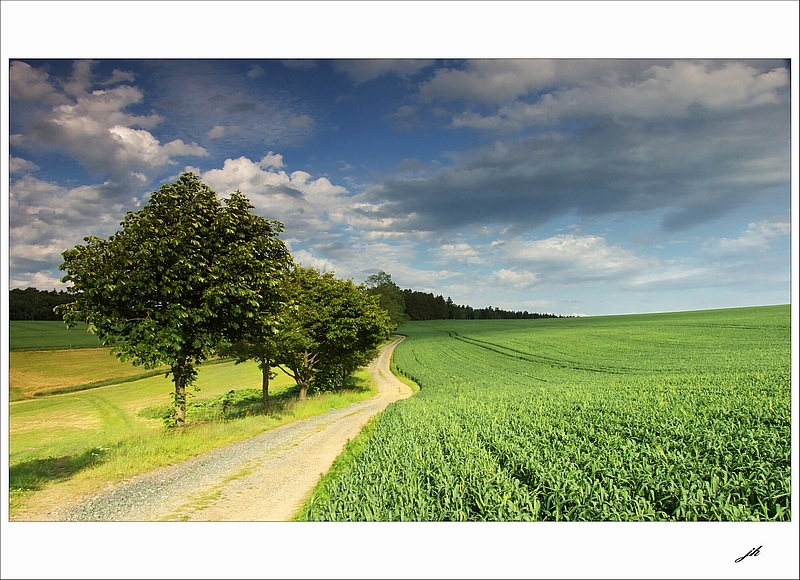 фото "Summer means" метки: пейзаж, лето