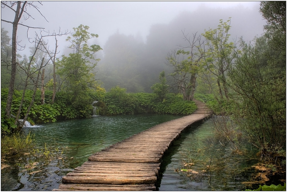 photo "Planked footway of Plitvice" tags: landscape, travel, Europe, water