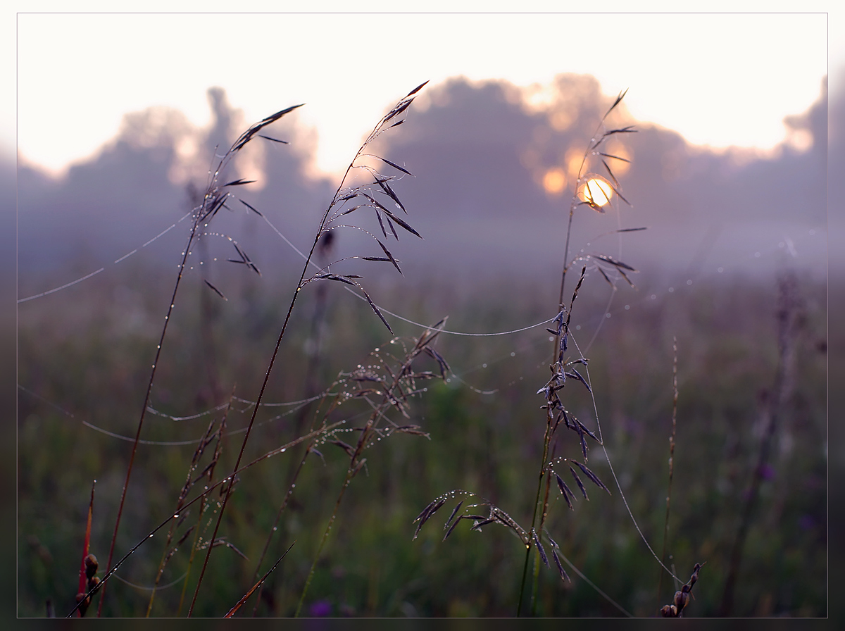 photo "***" tags: landscape, sunset