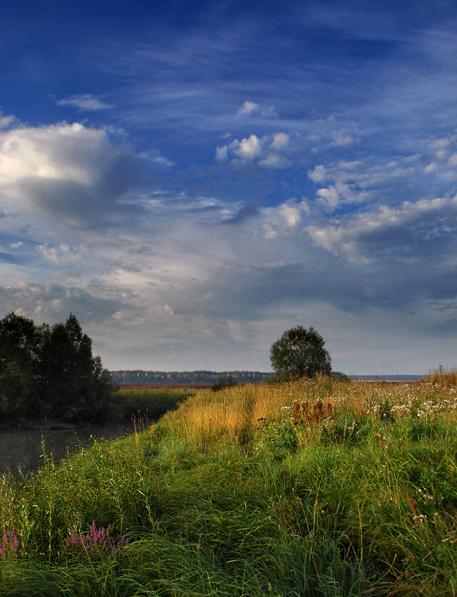 photo "Colors in August AM" tags: landscape, summer