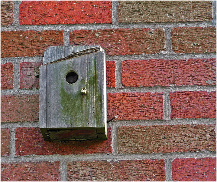 photo "Old small house on a wall" tags: interior, misc., 