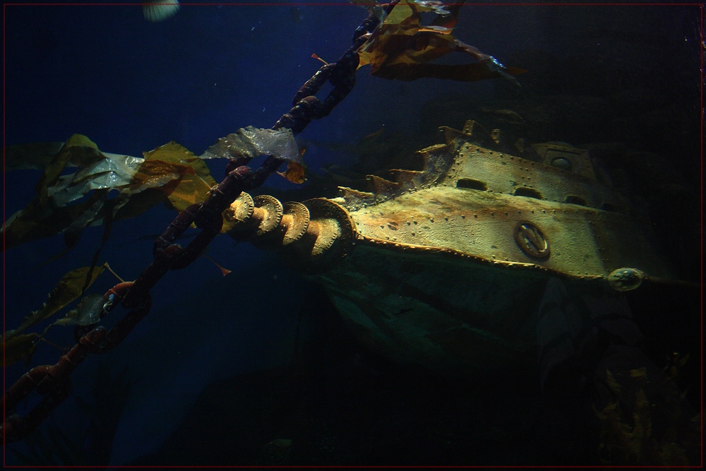 photo "***" tags: underwater, technics, 