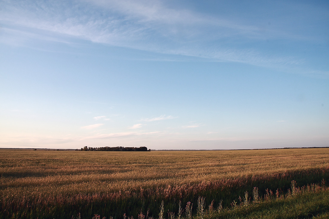 photo "***" tags: landscape, summer