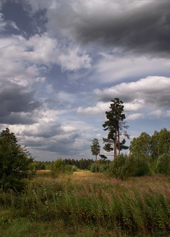 photo "***" tags: landscape, summer