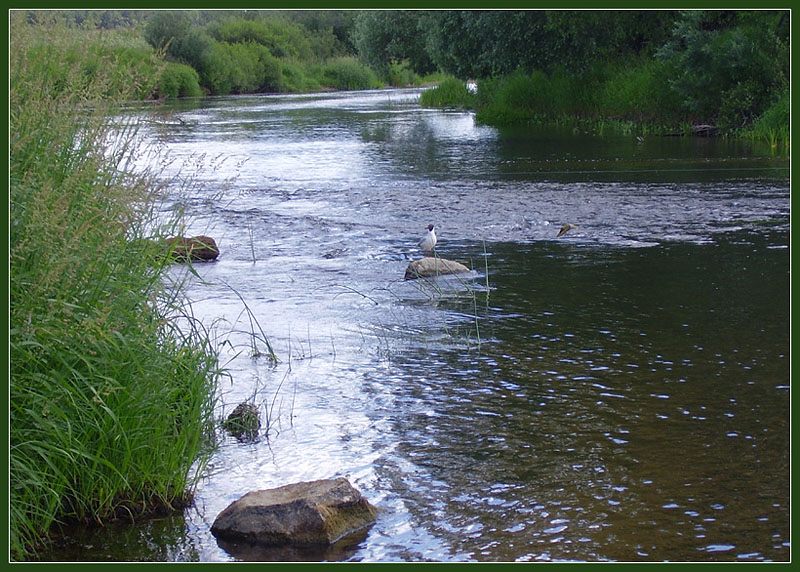 photo "***" tags: landscape, water