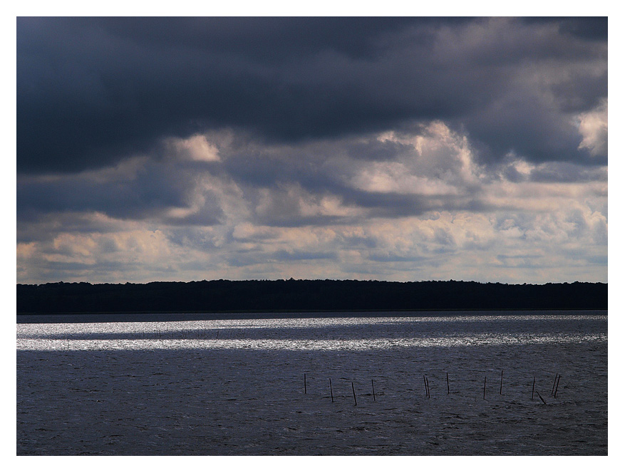 photo "Two Legs" tags: landscape, clouds, water