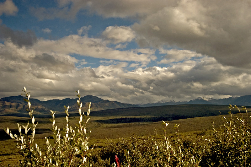 photo "The Field" tags: landscape, 