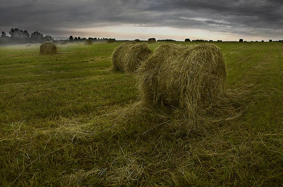 photo "***" tags: landscape, summer