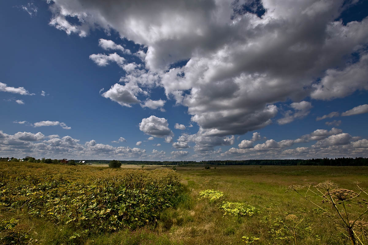 photo "Touching Sky by the Head" tags: landscape, clouds