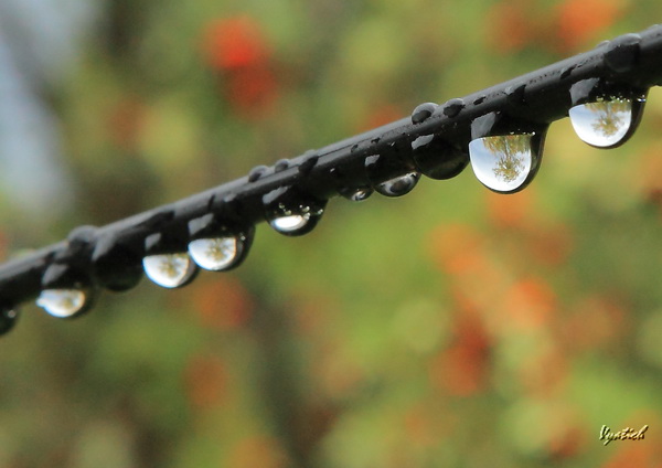 фото "Drop - a mirror" метки: макро и крупный план, абстракция, 