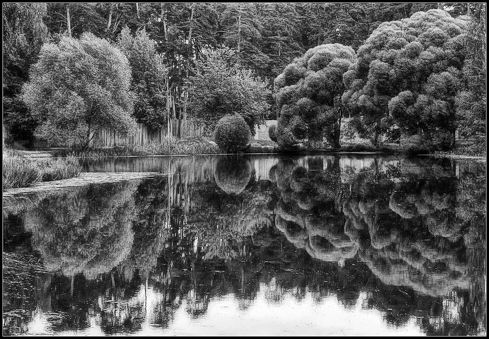 photo "willows" tags: landscape, summer, water